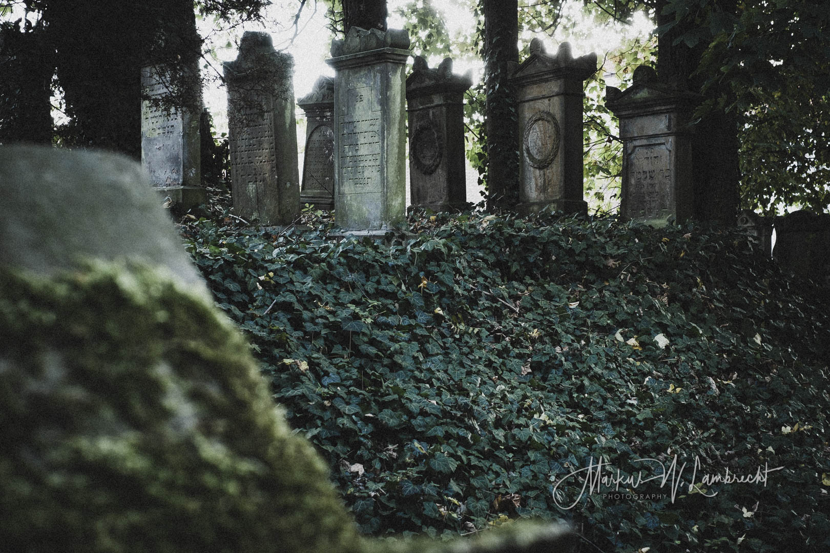 Steinheim (Westfalen), Jüdischer Friedhof